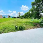 Bán đất 376m² (10x38) xã Bình Trinh Đông, Tân Trụ, Tây Ninh giá 500 triệu - Ảnh thu nhỏ 2