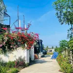 Bán lô đất Diên Lạc 70m2 769 triệu - Ảnh thu nhỏ 2