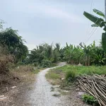 Bán đất vườn 1,4ha Thạnh Lộc Nhà Bè 850 triệu - Ảnh thu nhỏ 3