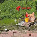 Bán nền mặt tiền Tạ Uyên, 96m², Cà Mau, 2 tỷ - Ảnh thu nhỏ 1