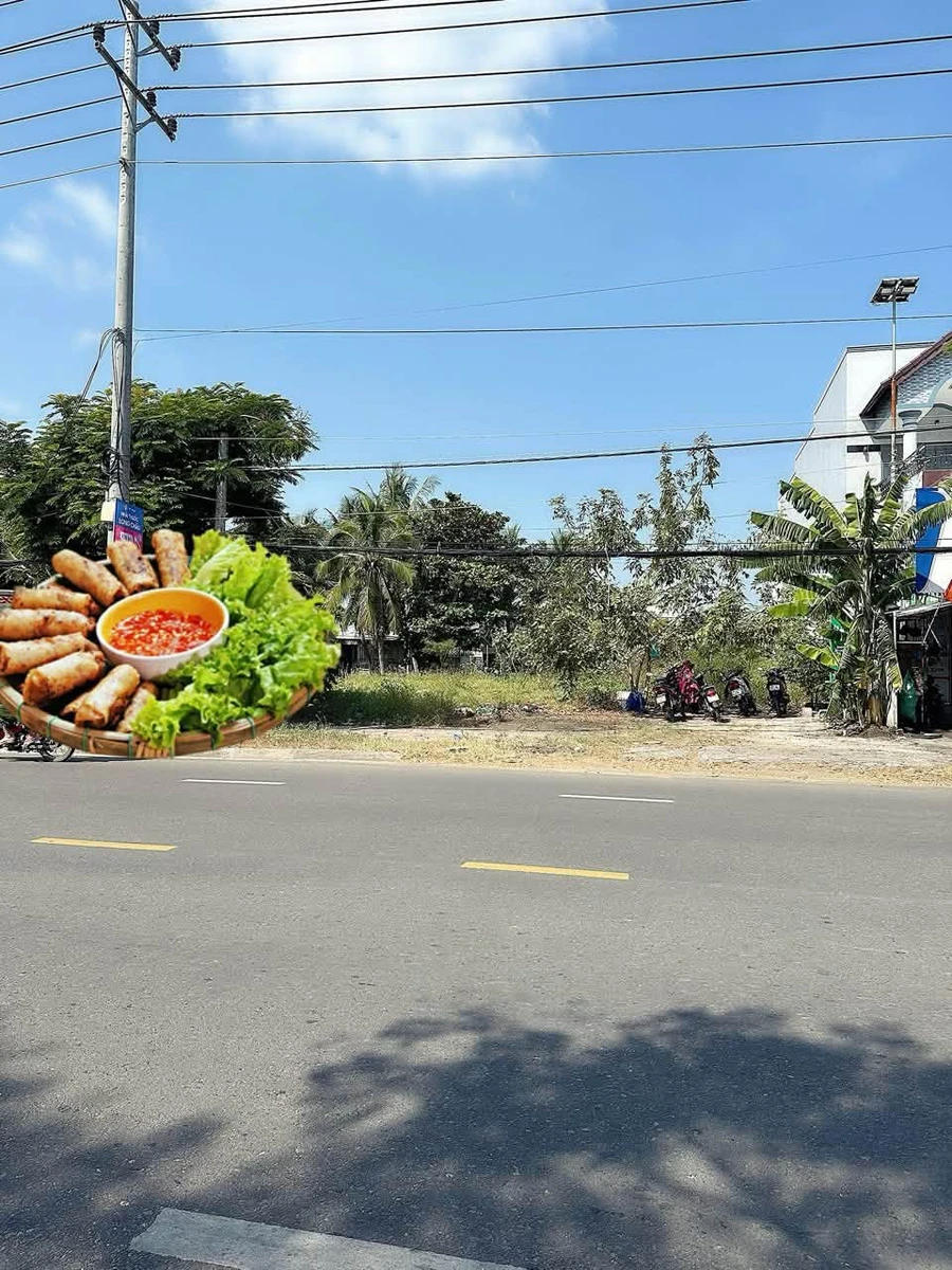Bán đất mặt tiền Nguyễn Hội Phan Thiết 665m2 giá 11 tỷ - Ảnh 1