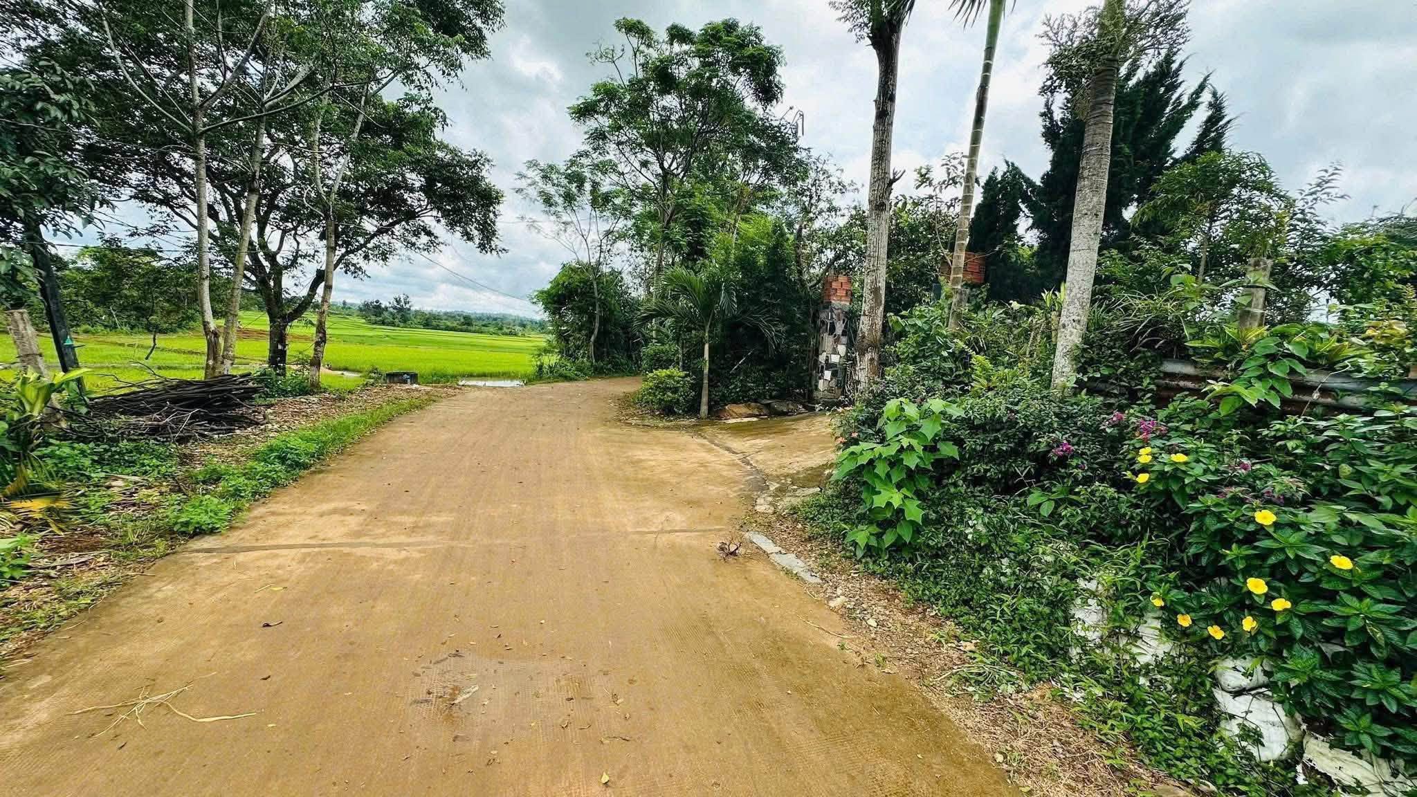 Bán đất 150m² Lý Chính Thắng Hóc Môn 4 tỷ - Ảnh thu nhỏ 3