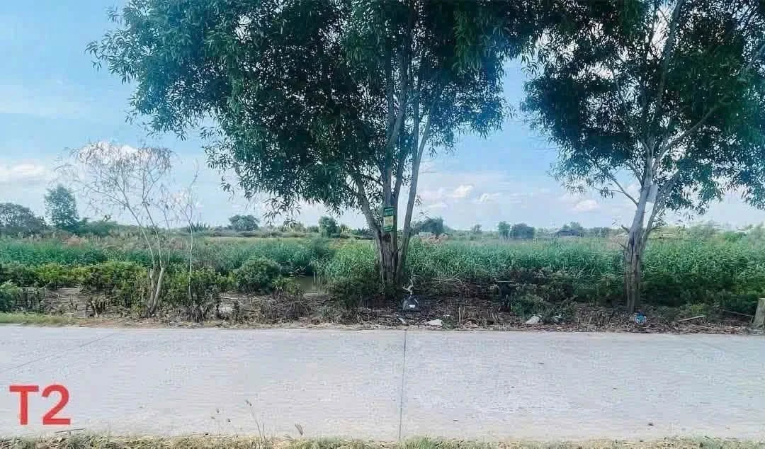 Bán đất Bình Đại, Bến Tre, 1.148m2, 1 tỷ 650 triệu - Ảnh 1