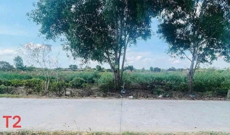 Bán đất Bình Đại, Bến Tre, 1.148m2, 1 tỷ 650 triệu