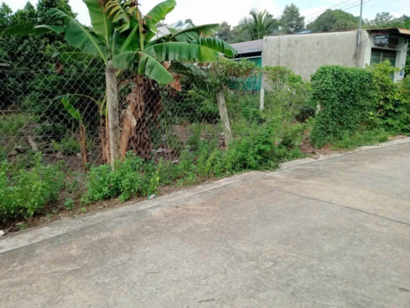 Bán lô đất thổ cư ngang 10m, 100m2 nhánh đường Bà 39, Phú An giá 3 tỷ - Ảnh 1