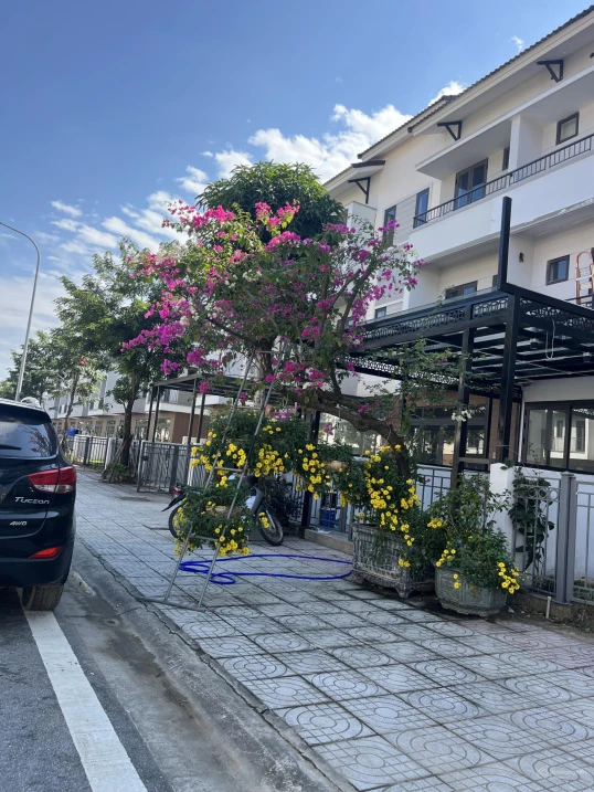 Shopvilla căn góc hiếm hàng bậc nhất Centa Riverside - Ảnh thu nhỏ 3