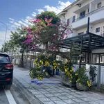 Shopvilla căn góc hiếm hàng bậc nhất Centa Riverside - Ảnh thu nhỏ 3