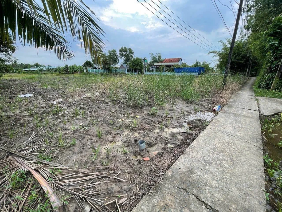Bán 3 nền đất thổ cư 100m² tại Phước Vân, Cần Đước, Long An - Ảnh 1