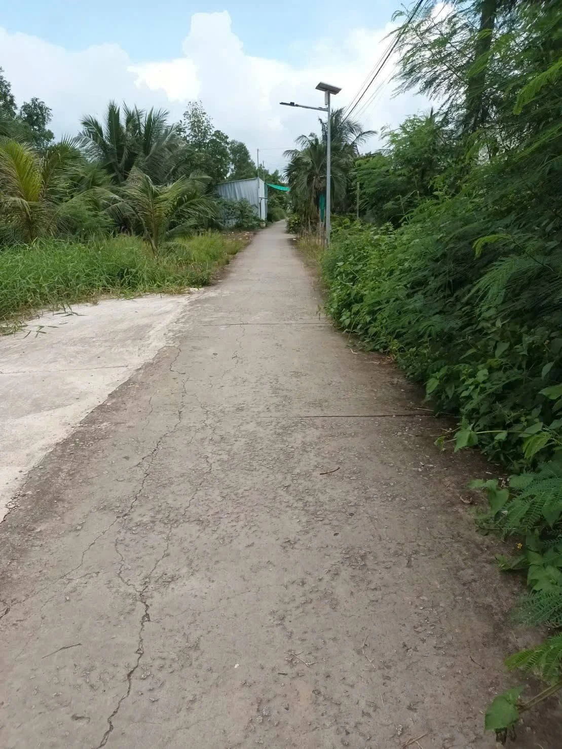 Bán nền 52.3m² có thổ cư Bạc Liêu 269 triệu - Ảnh 1