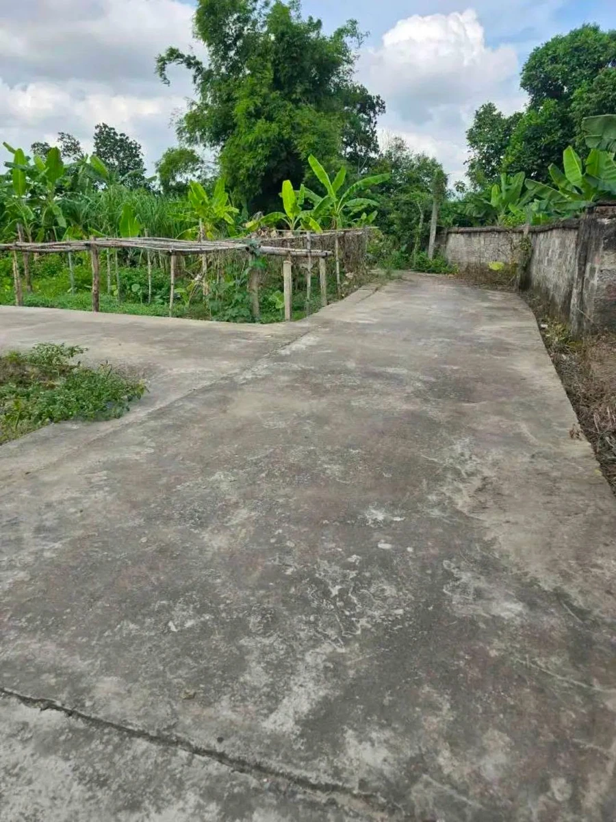 Bán đất 73m² Cẩm Giàng, Hà Nội, giá 600 triệu - Ảnh thu nhỏ 4