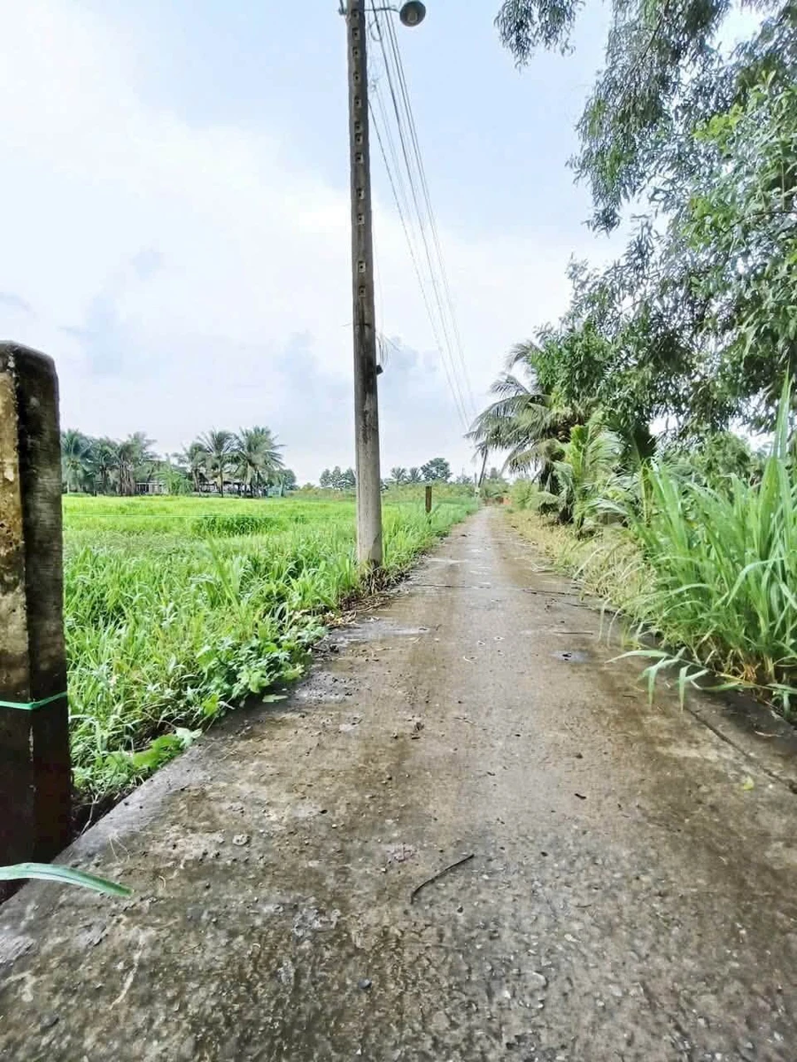 Bán 2000m² đất vườn 2 mặt tiền tại Tân An, Long An - Ảnh thu nhỏ 2