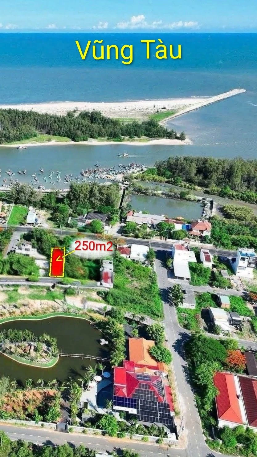 Bán đất full thổ 250m2 mặt tiền 8m Lộc An Vũng Tàu - Ảnh 1