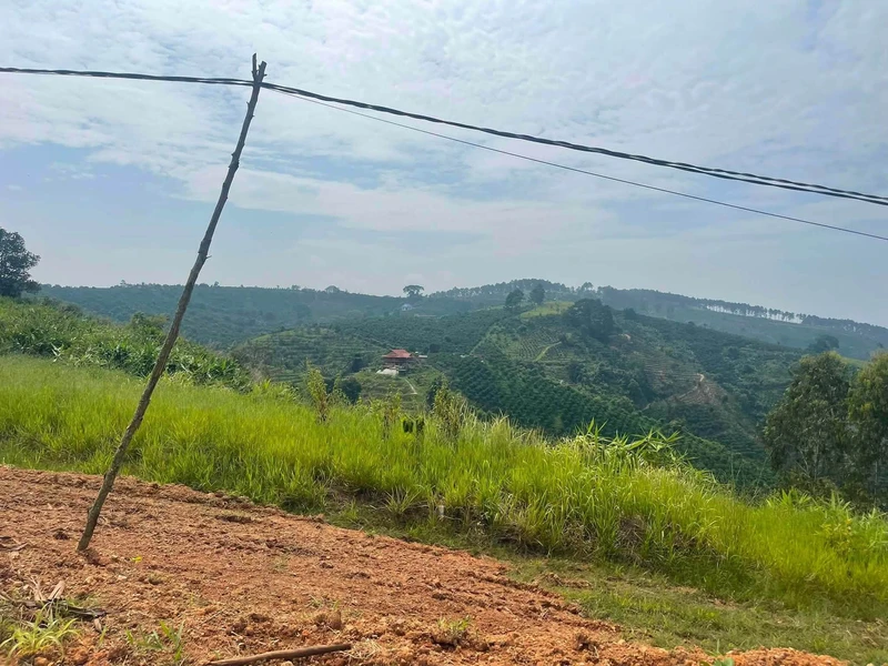 Bán đất 2600m2 view thôn Hai Bà, Lâm Hà, Hà Giang
