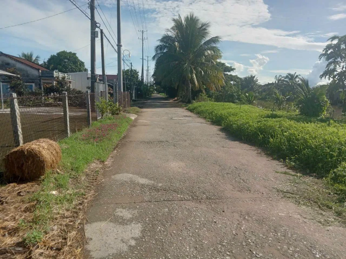 Bán nền 1500m2 Thạnh Lộc, Cần Thơ - Ảnh thu nhỏ 3