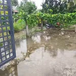 Bán nhà xây mới 500m² 3PN Bình Phú 850 triệu - Ảnh thu nhỏ 3