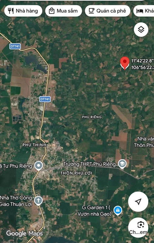 Đất cao su ~1 hecta Phú Riềng 1 tỷ