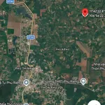 Đất cao su ~1 hecta Phú Riềng 1 tỷ - Ảnh thu nhỏ 1