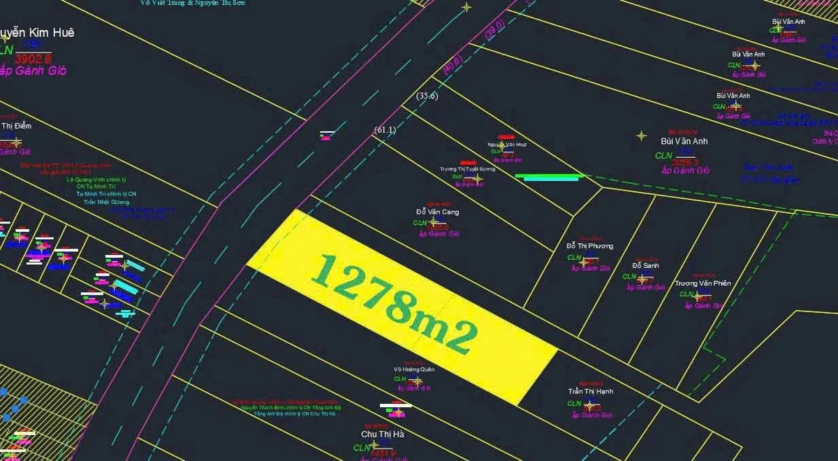 Bán lô góc 2 mặt tiền 1.278m² gần biển Ông Lang, Búng Gội - Ảnh thu nhỏ 4