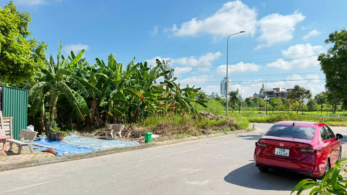 Bán lô đất mặt phố Lý Đạo Thành 69,5m2 giá nhỉnh 3 tỷ, Phường Tứ Minh, Hải Dương - Ảnh thu nhỏ 3