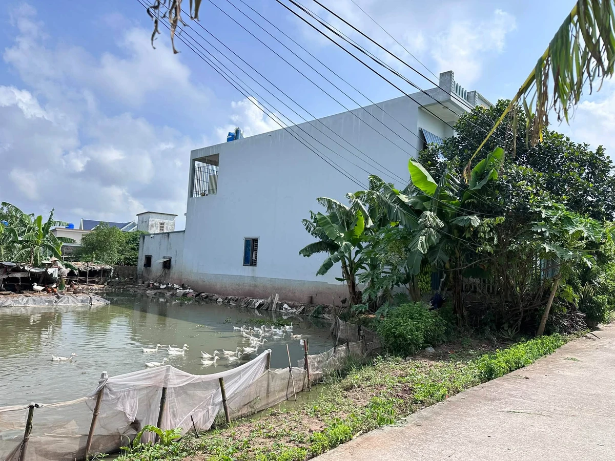 Bán đất Đông Hoàng Tiền Hải 115.5m² giá 8 tỷ - Ảnh 1