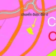 Bán 3.000m2 đất phố Tây Cửa Lấp QH đất ở chỉnh trang MT 51m giá chỉ 15tr/m2 - Ảnh thu nhỏ 13
