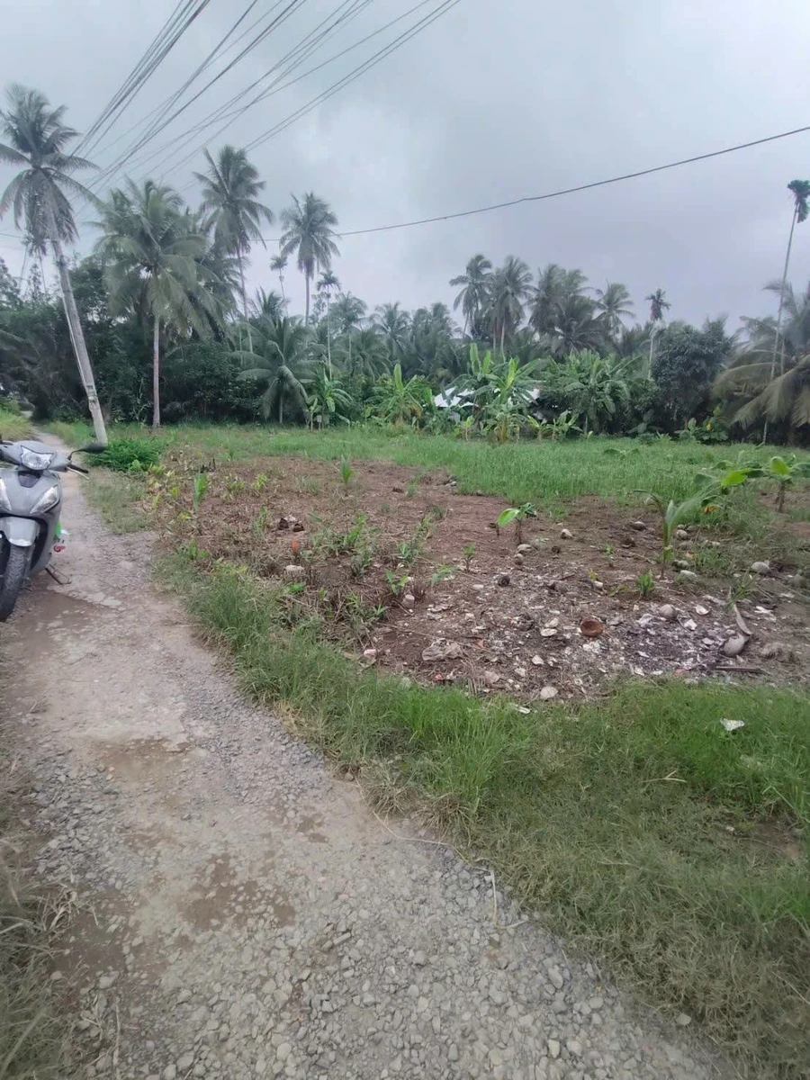 Bán đất 1000m² Tân Thành, Bến Tre, 1 tỷ - Ảnh thu nhỏ 2