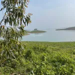 Bán quả đảo tròn trịa đẹp ở hồ Thác Bà 1,6ha giá 2,2 tỷ - Ảnh thu nhỏ 8