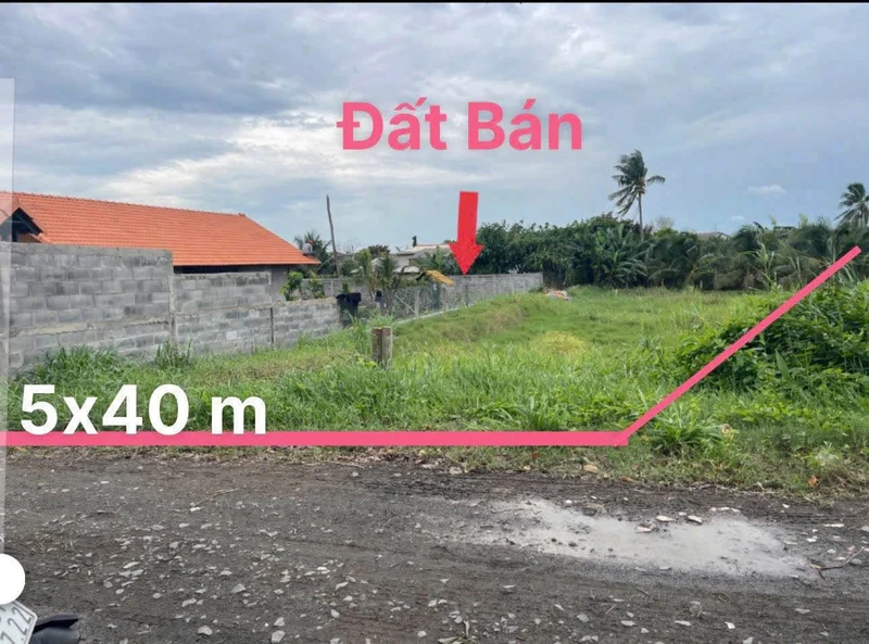 Bán đất thổ cư 5x40m mặt tiền đê sông Vàm Cỏ, giá 660 triệu, Châu Thành, Long An