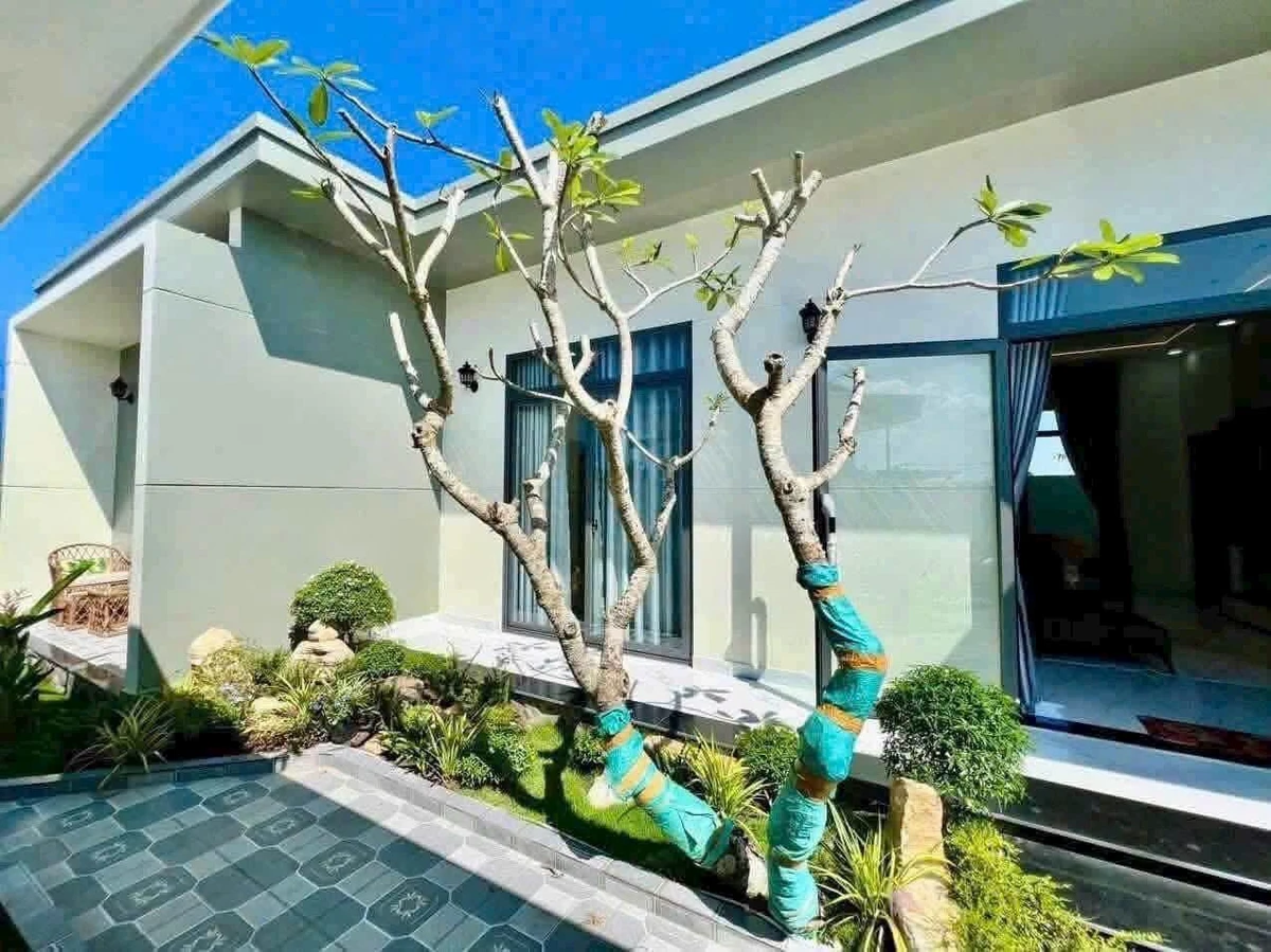 Bán nhà vườn 1.000m² mái Nhật tại xã Hòa Phú, Châu Thành, Long An - Ảnh thu nhỏ 3