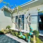 Bán nhà vườn 1.000m² mái Nhật tại xã Hòa Phú, Châu Thành, Long An - Ảnh thu nhỏ 3