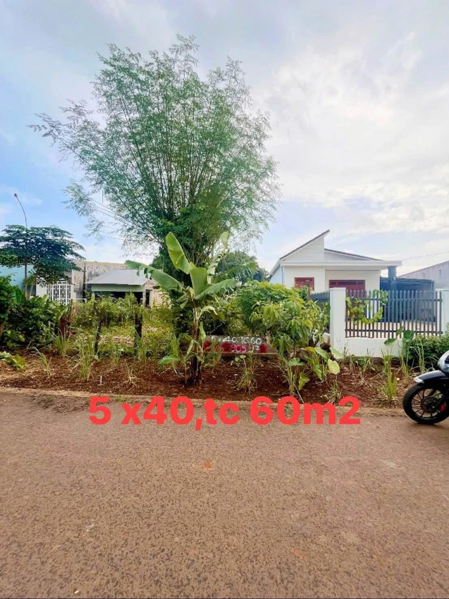 Bán đất 5x40 (200m2) thổ cư 60m2 trục lộ 2 Buôn Ky, phường Thành Nhất, Buôn Ma Thuột giá 1,6 tỷ - Ảnh 1