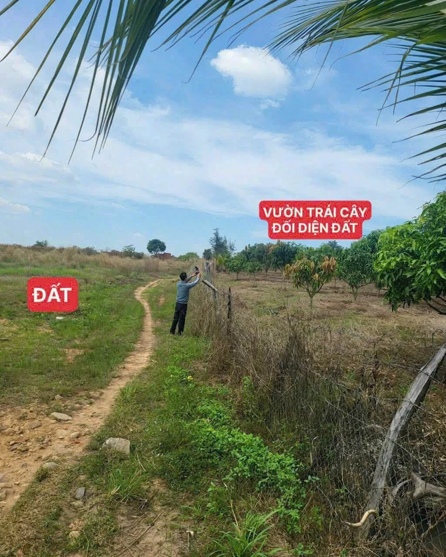 Bán 11.600m2 đất nông nghiệp view suối Buôn Đôn, Đắk Nông - Ảnh thu nhỏ 5