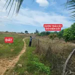 Bán 11.600m2 đất nông nghiệp view suối Buôn Đôn, Đắk Nông - Ảnh thu nhỏ 5