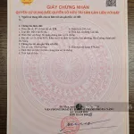 Biệt thự mặt sông đường Thăng Long - Ảnh thu nhỏ 9