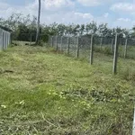 Bán đất Giồng Cà Tây Ninh 140m² 199 triệu - Ảnh thu nhỏ 4
