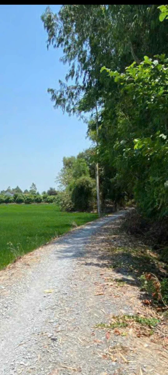 Bán đất Cao Lãnh Đồng Tháp 10 công mặt tiền 65m - Ảnh 1