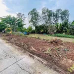 Bán đất nền mặt tiền Mai Thành Tâm, Vĩnh Thông, 1.000m² - Ảnh thu nhỏ 3