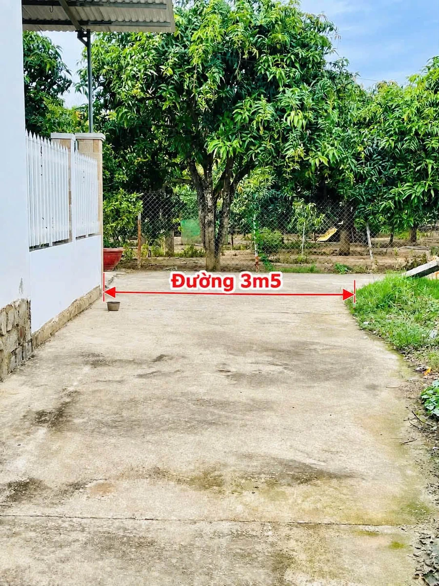 Bán đất dân cư 67m² Diên Phú 580 triệu - Ảnh thu nhỏ 3