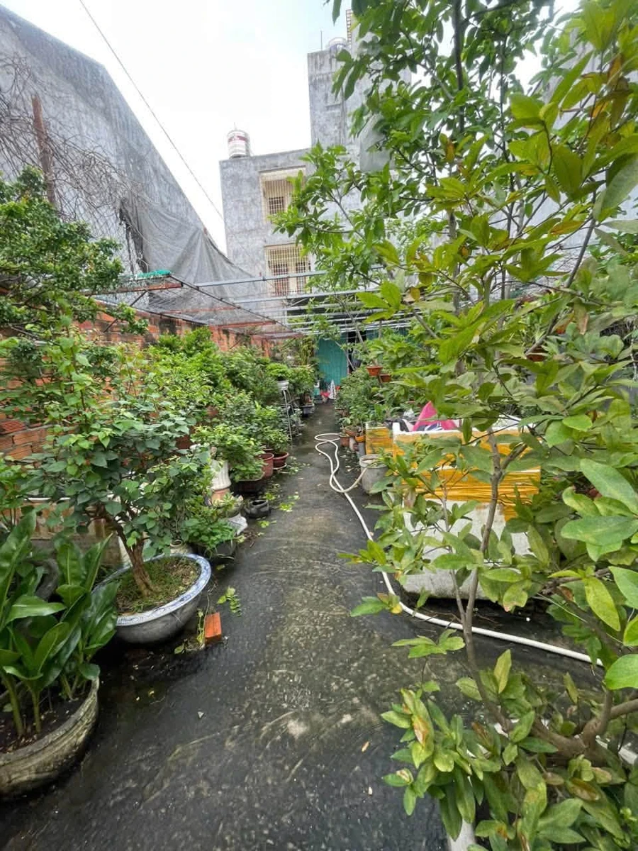 Bán lô thổ cư mặt tiền Đỗ Hành 100m2, Phú Thủy, Lâm Đồng - 4,3 tỷ - Ảnh thu nhỏ 3