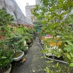 Bán lô thổ cư mặt tiền Đỗ Hành 100m2, Phú Thủy, Lâm Đồng - 4,3 tỷ - Ảnh thu nhỏ 3