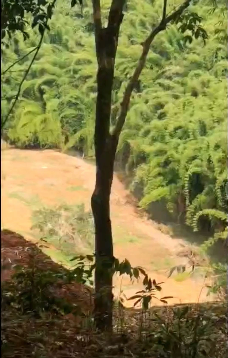 Bán 3,8 ha cao su Đồng Tâm, Đồng Nai, 1,3 tỷ/ha - Ảnh thu nhỏ 2