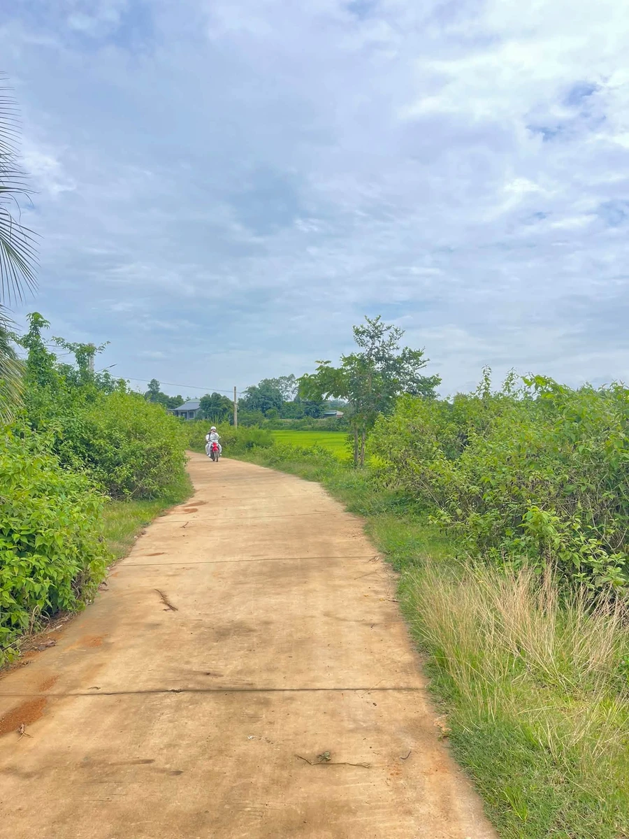 Bán đất 38x100m (3800m²) gần Bệnh viện Xuyên Á, Lâm Đồng, giá 2,3 tỷ - Ảnh thu nhỏ 3