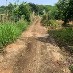 Bán đất nền 2 sào Định Quán Đồng Nai 1,9 tỷ - Ảnh thu nhỏ 2