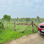 Bán đất CLN 900m² mặt tiền Hàm Liêm, Bình Thuận - Ảnh thu nhỏ 4