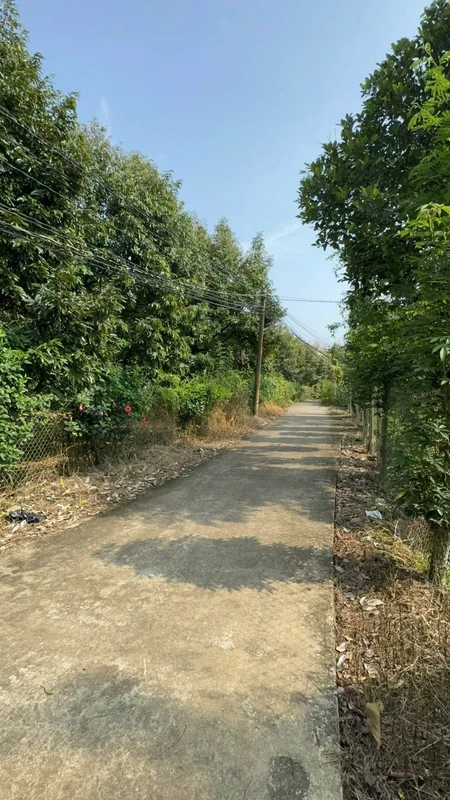 Bán đất vườn sầu riêng 4.000m² Tân Phú, Đồng Nai 3,2 tỷ