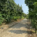 Bán đất vườn sầu riêng 4.000m² Tân Phú, Đồng Nai 3,2 tỷ - Ảnh thu nhỏ 1