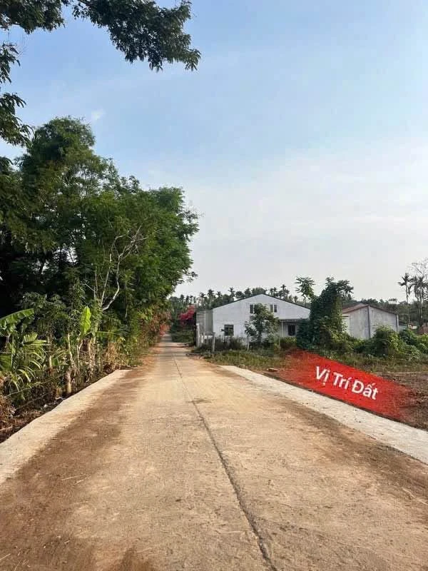 Bán đất nền 125m² gần Komleo Farm, Cần Giờ 1 tỷ 150 - Ảnh 1