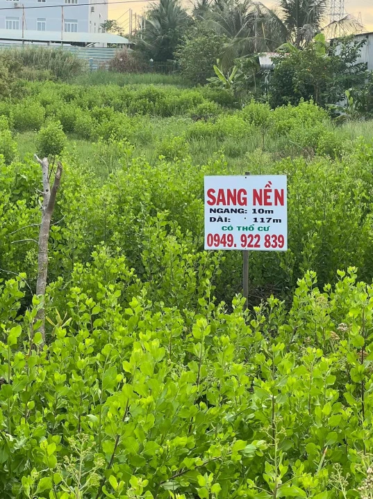 Bán đất tại Quốc lộ 1A, 2 tỷ 700 triệu, tổng diện tích 1166,2m2, 250m2 thổ cư, pháp lý đầy đủ - Ảnh thu nhỏ 2