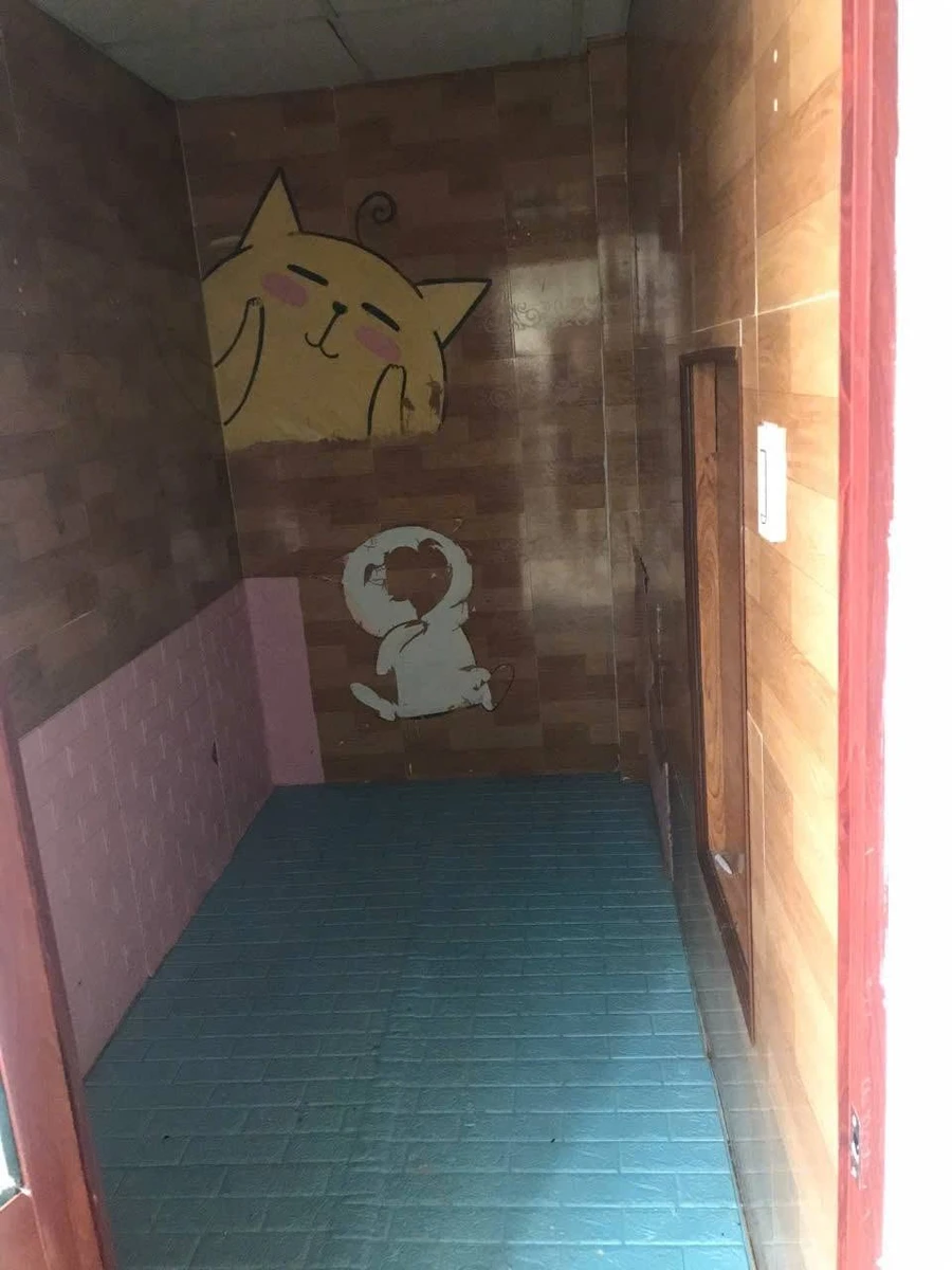 Bán nhà Phan Đình Phùng Đà Lạt 45m² 2 phòng ngủ 3,5 tỷ - Ảnh thu nhỏ 5
