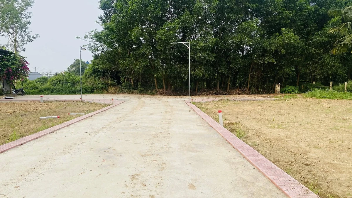 Bán đất Phú Bài 113m² từ 590 triệu - Ảnh thu nhỏ 2